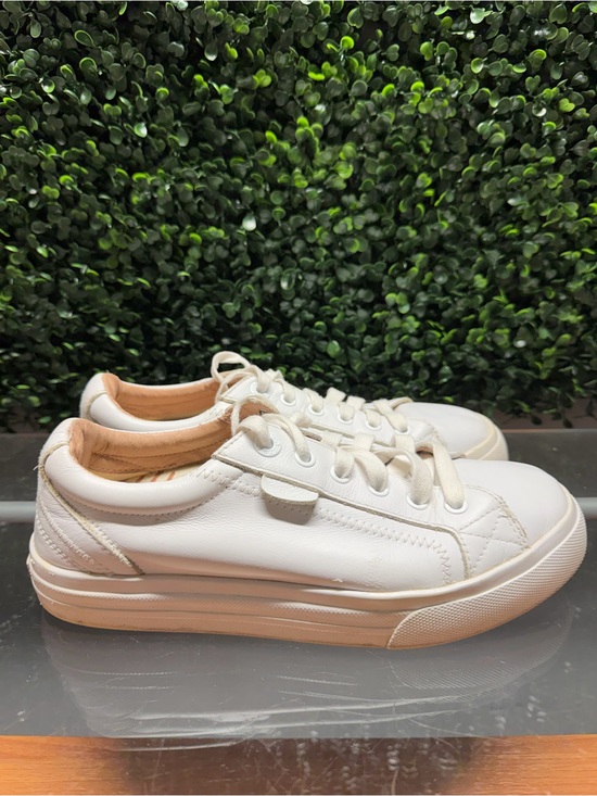 Taos Footwear Shoes - Taos Footwear White Leather Low-Top Sneakers